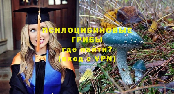 мяу мяу кристалл Магас