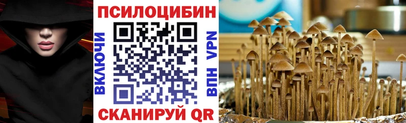 Псилоцибиновые грибы Cubensis Купить Курлово
